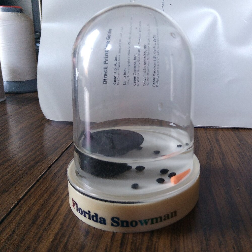 Florida Snowman Plastic Snowglobe